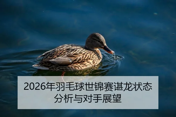 2026年羽毛球世锦赛谌龙状态分析与对手展望