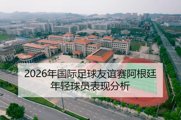 2026年国际足球友谊赛阿根廷年轻球员表现分析