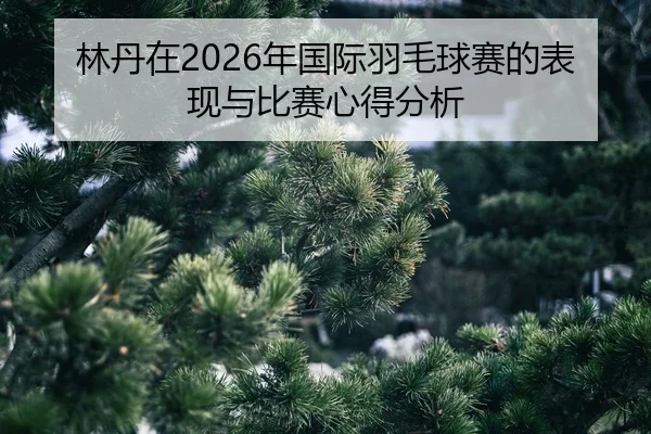 lin-dan-zai-nian-guo-ji-yu-mao-qiu-sai-de-biao-xian-yu-bi-sai-xin-de-fen-xi-2-997.jpg